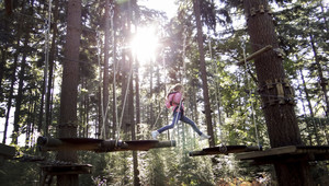 Climbing forest Veluwe